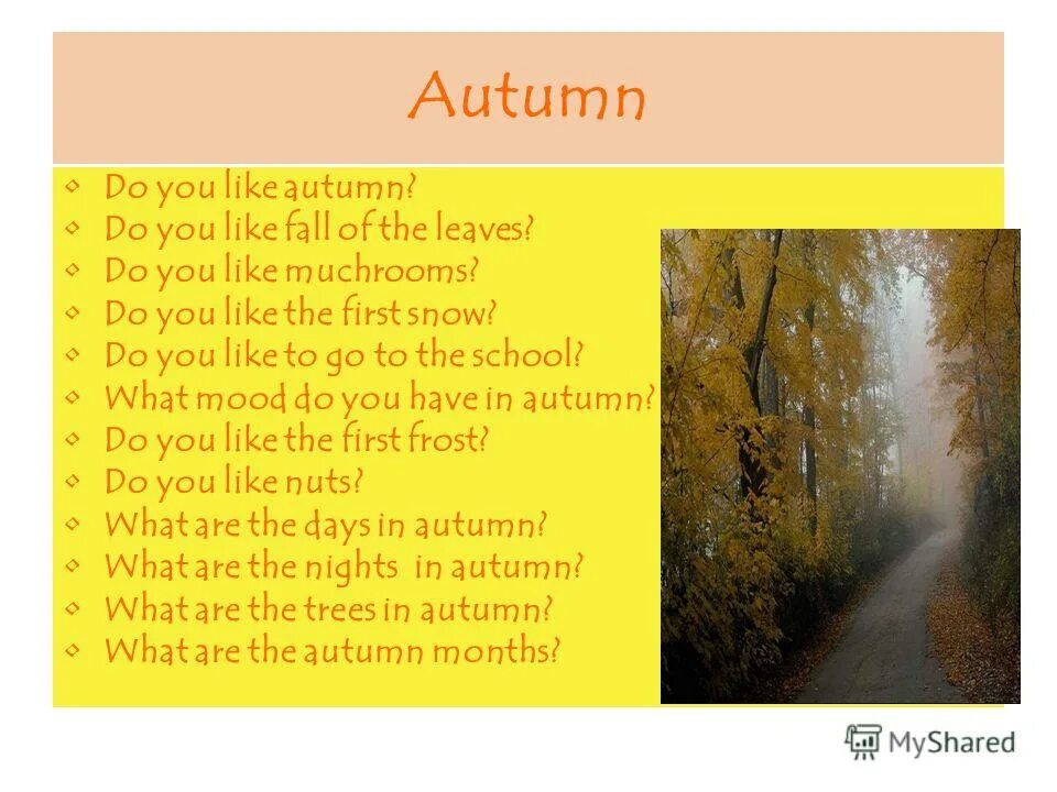 Autumn be like. Осень по английски. what do you do in autumn. what can you do in autumn. what season do you like.