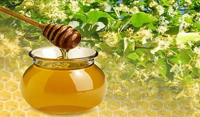 Включи honey. Мёд липа кориандровый. Майский мед липа. Липовый мед. Мед цветочный Майский.