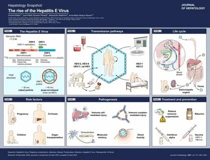 Transmission virus