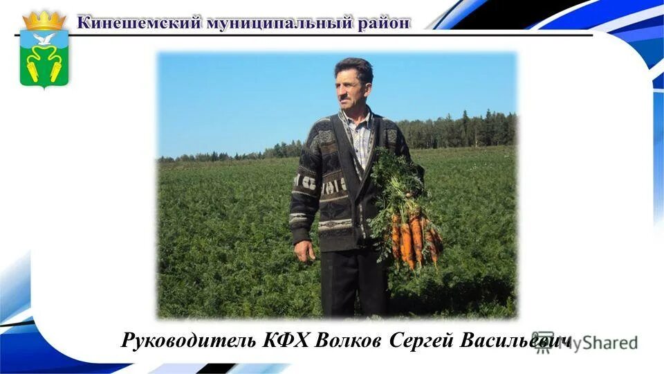 крестьянская жизнь при петре 1. крестьяне пашут 19 век пензенской губернии. марк китли деревенская живопись картины. раскулачивание крестьян в 30 годы. традиционные занятия русских.