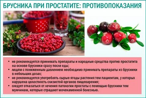 Клюква при грудном вскармливании
