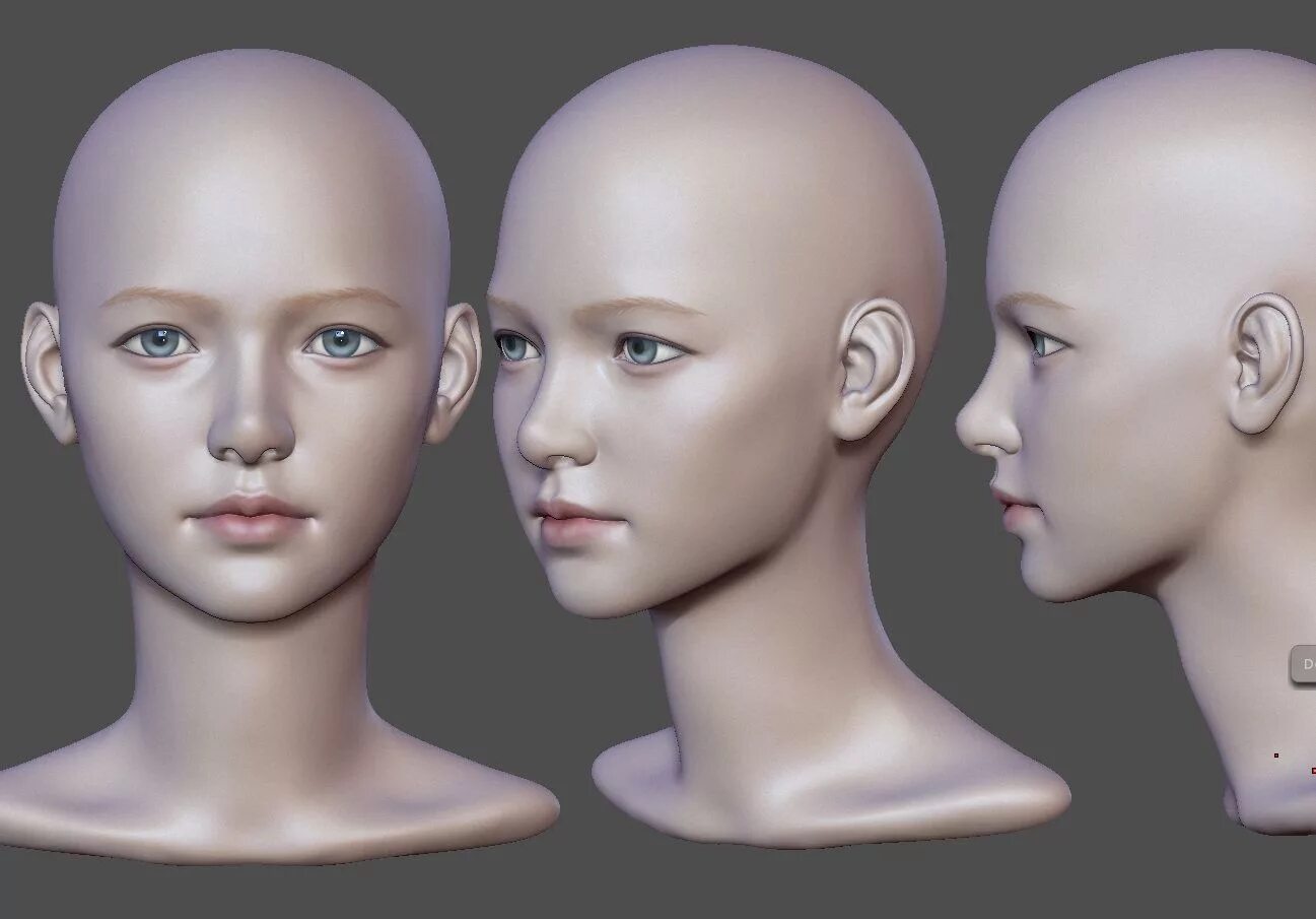 Полная информация о профиле человека. Модель головы. Референсы лица. Голова со всех сторон. Женское лицо в разных ракурсах.