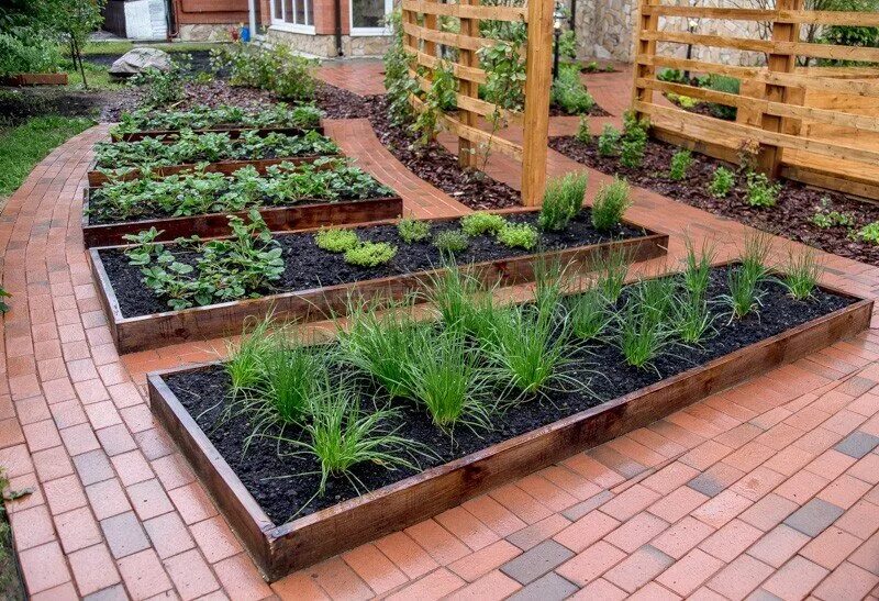 Декоративный огород. Красивые овощные грядки. Черные грядки. Огороженные грядки. Черные грядки.