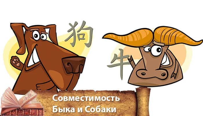 Бык и собака. Бык и собака совместимость. В быка и год собаки. Совместимость бык и змея мужчина