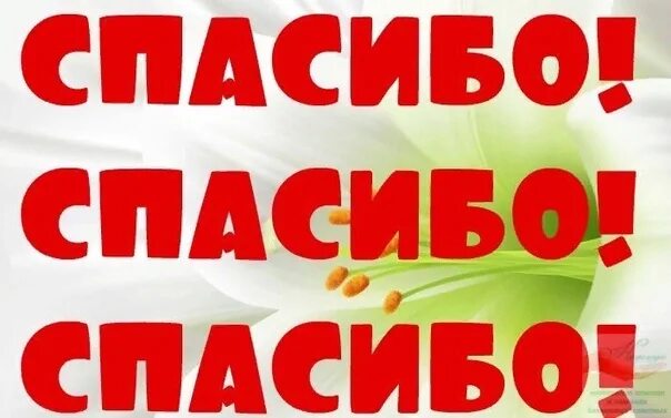 Спасибо что поддержал. Спасибо за помощь и поддержку. спасибо за финансовую помощь. спасибо за финансовую поддержку. спасибо всем за поддержку.