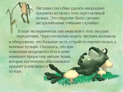 Сочинение несколько слов в защиту жабы