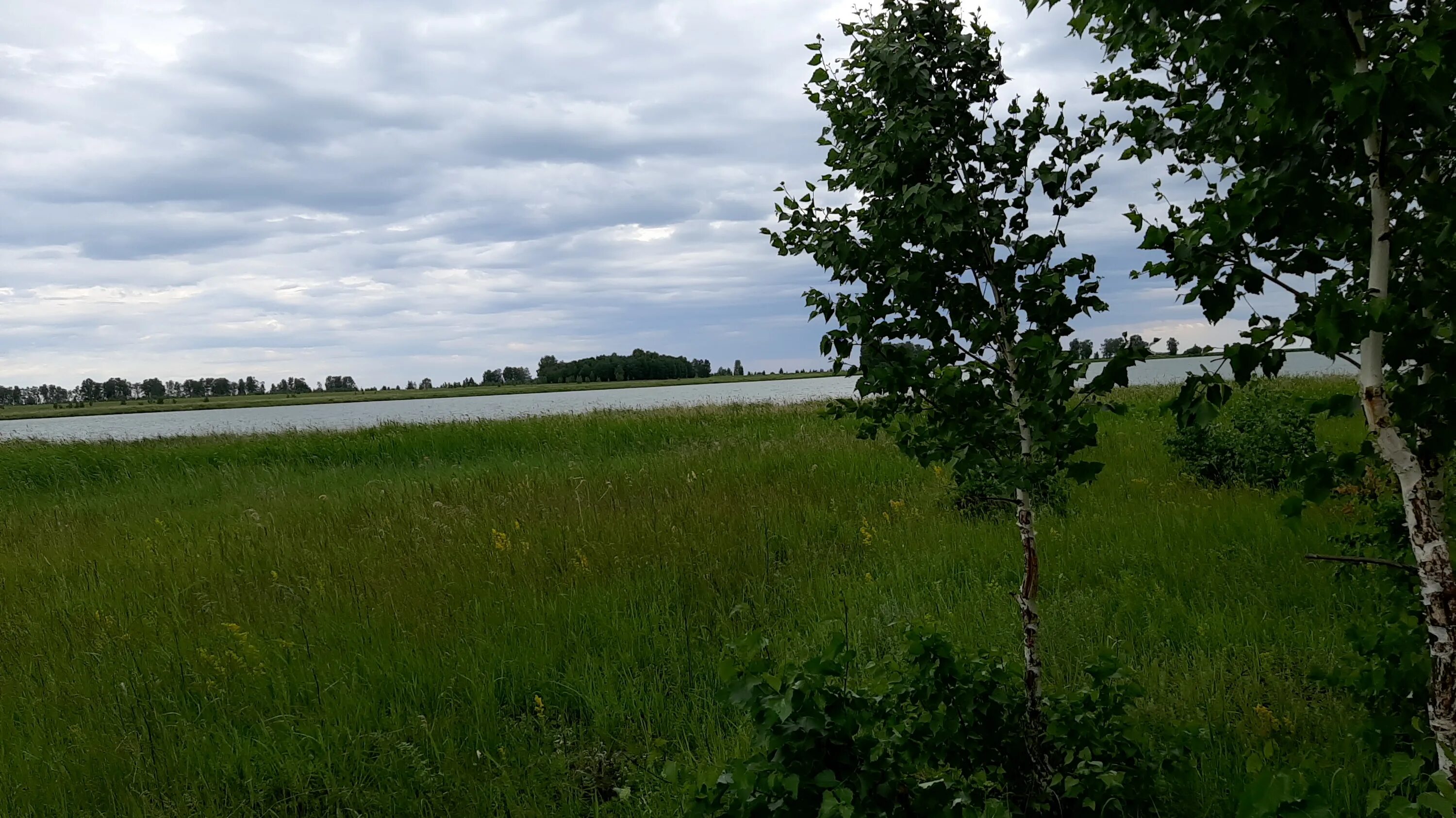 барабинский р н. барабинская.