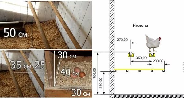 Сколько гнезд курам. Высота насеста для кур несушек. Гнездо курятник для несушек чертежи с размерами. Размеры насеста в курятнике для кур несушек. Ширина насеста для кур несушек высота.