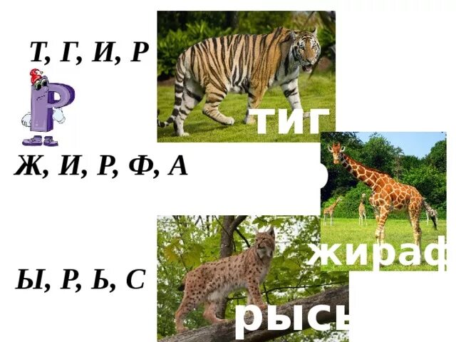 Леопард слоги. Рысь жираф. схема слова тигр. леопард слово. слоги в слове рысь.
