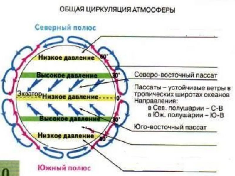 Общая циркуляция атмосферы пассаты. Циркуляция атмосферы 8 класс география. Схема общей циркуляции атмосферы. Схема общей циркуляции атмосферы на земле.