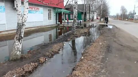 Прогноз погоды пруды