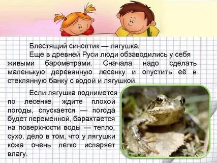 Какая погода по мнению лягушки считалась прекрасной