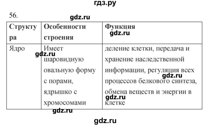 Биология 9 класс пасечник 2014. Гдз по биологии 9 класс Пасечник. Гдз по биологии 9 класс Пасечник таблица 18 параграф. Биология 56 класс Пасечник. Таблица строение клетки 9 класс биология Пасечник.