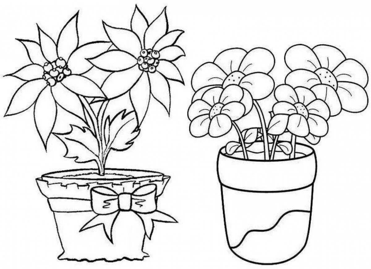 Plant coloring. Комнатные растения раскраска. Раскраска комнатные растения в горшках. Раскраска комнатные растения для детей. Раскраски для малышей комнатные растения.