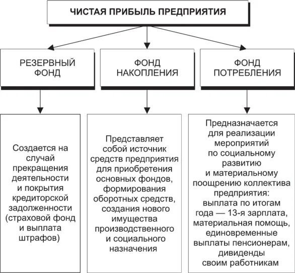 Чистой прибылью организации является