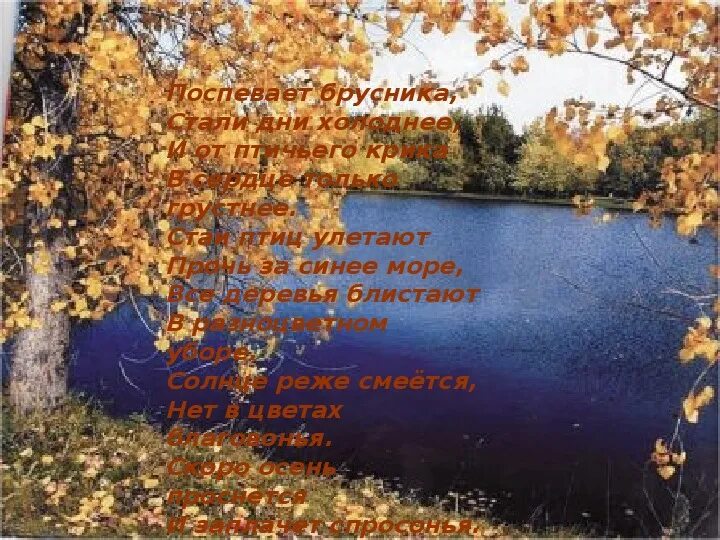 Д. К. Осень. Птиц улетают прочь за синее море. Бальмонт осень стихотворение.