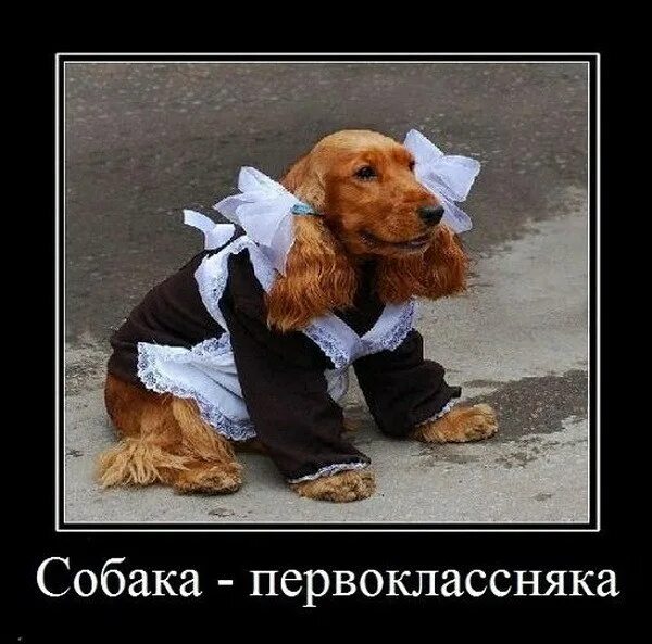 Открытки для школьников. Удачного учебного дня. Поздравление с первой пятеркой. Успешного учебного дня. Хорошего учебного дня картинки.