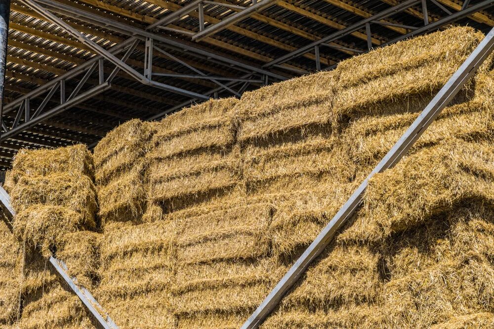 Работник фермы. Комбикорм ужасный. Сено в ангаре фото. Hay Harvest. Сено 2 класса