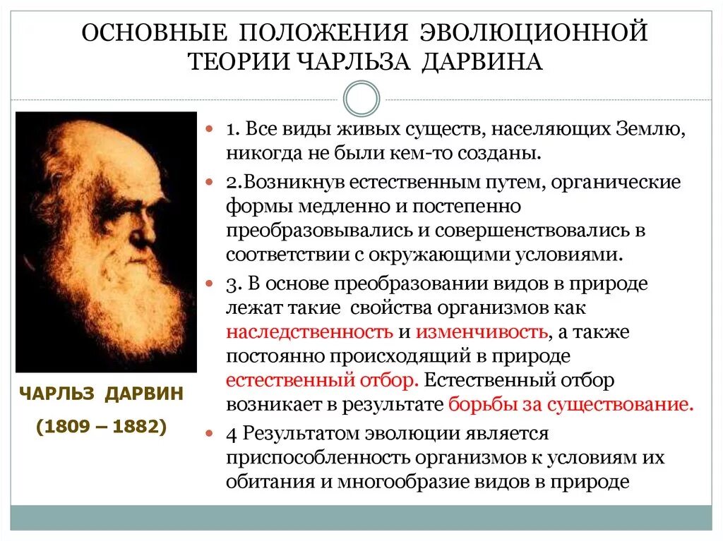 Эволюционная теория Чарльза Дарвина. Ч Дарвин основные идеи.