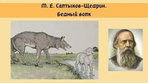 Бедный волк
