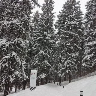 Подрезково сходня