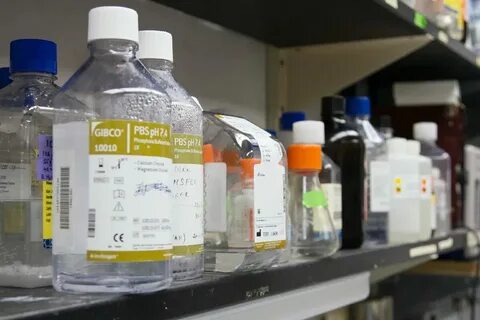Продукция санкт петербурга