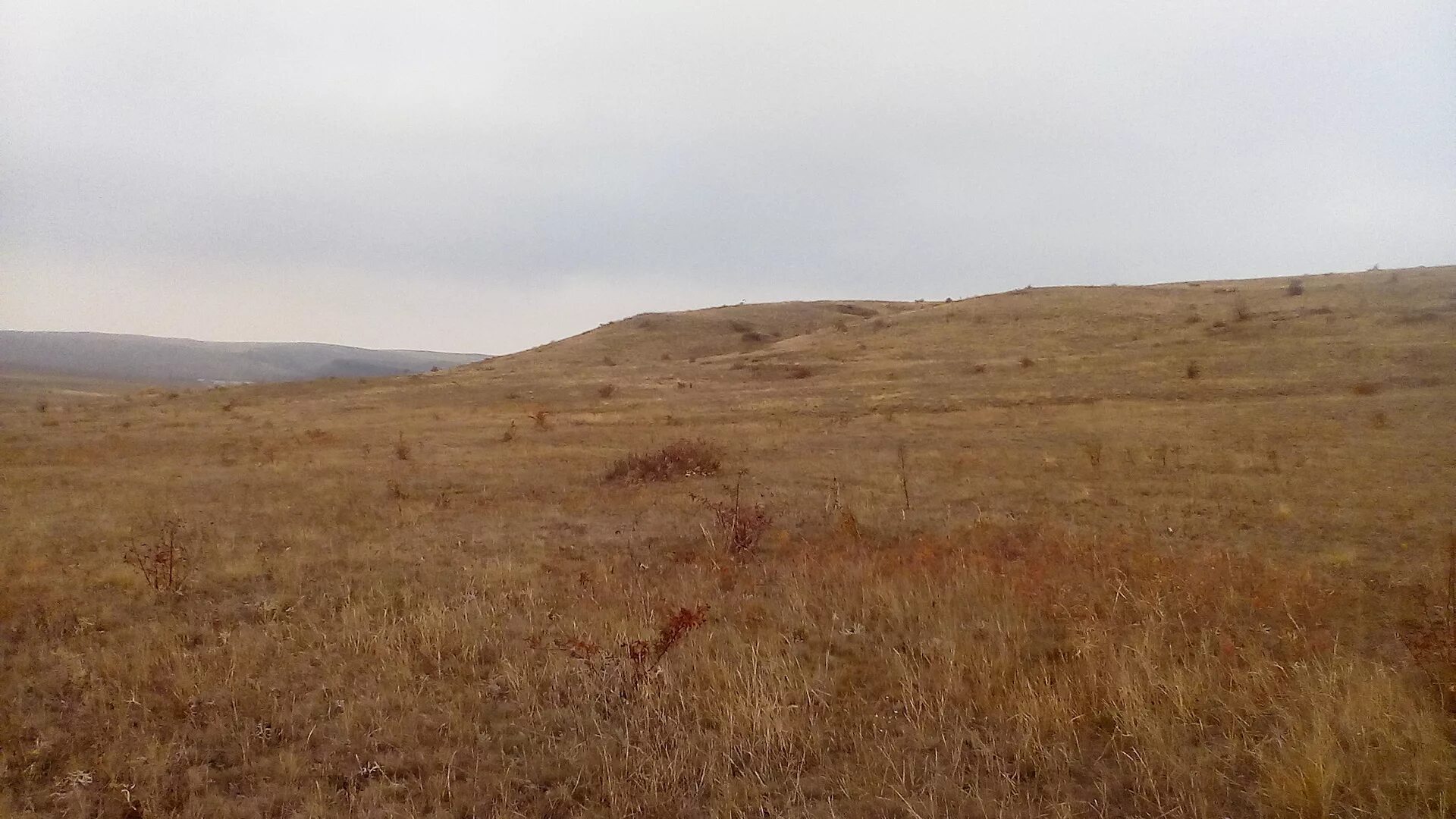 Степное сообщество. Поздняя осень в степи. Осень в степи. Осень в степи в степи. Осень степь Жилино.