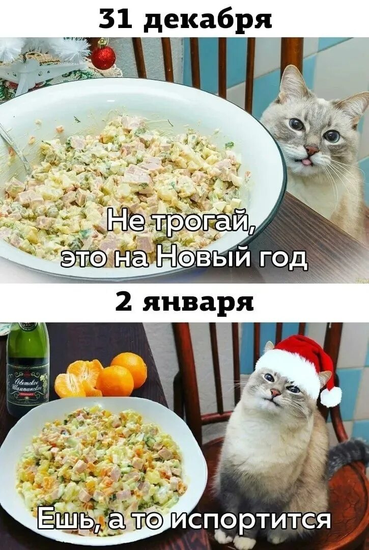 Осуществить со 2 января. 2 января приколы. 2 января смешные картинки. приколы про второе января. 2 января смешные картинки с надписями.
