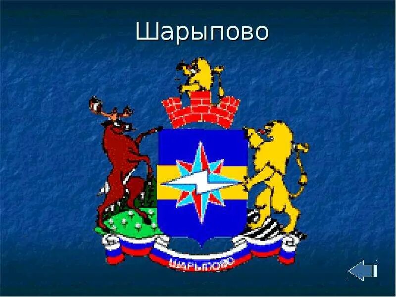Флаг города Шарыпово - купить Флаг по выгодной цене в интернет-магазине OZON (20