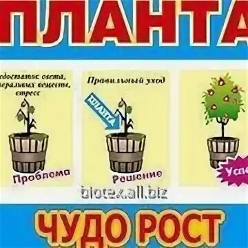 Планта инструкция. Планта чудо рост. Планта чудо рост купить. Планта чудо рост инструкция. Планта чудо рост удобрение купить.