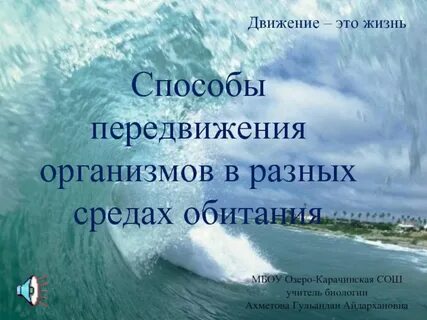 Способ жизни на земле