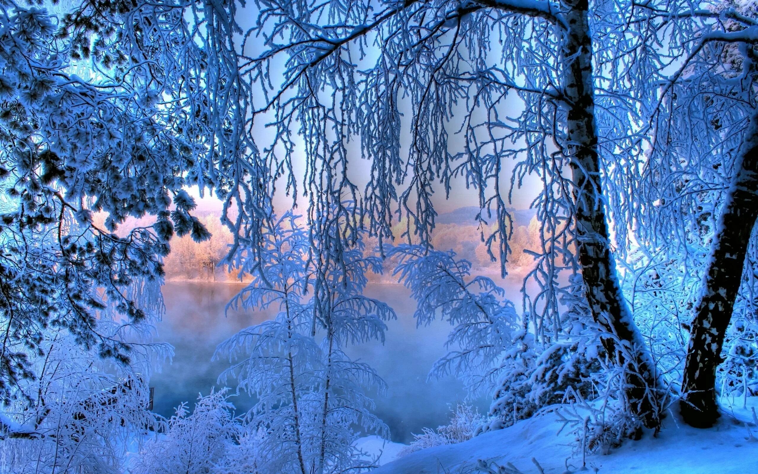 Фотография зимняя сказка