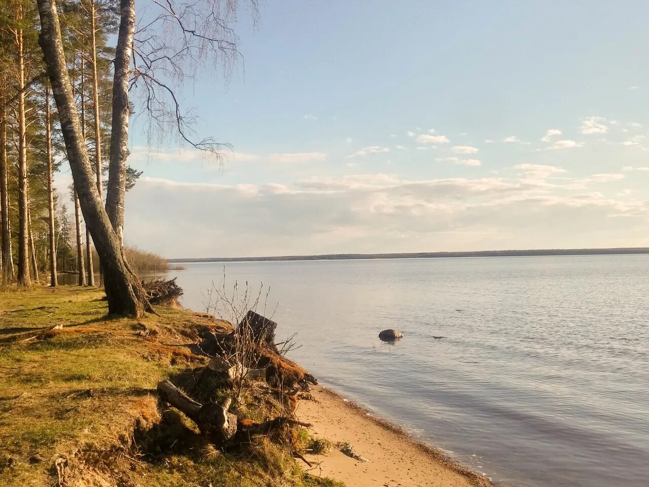 Михальково Рыбинское водохранилище. Юршинский остров Рыбинское водохранилище. Рыбинск Рыбинское море. Рыбинское водохранилище Ярославль. Участок на берегу водохранилища