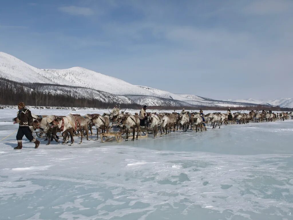 Село Тополиное Якутия. Тополиный. Тополиное Якутия фото. Тополиное Томпонский район. Тополиное якутия