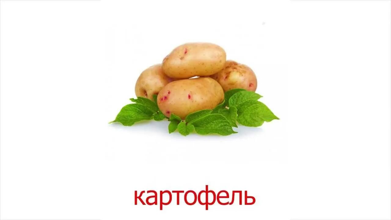 Подбери к слову картофель