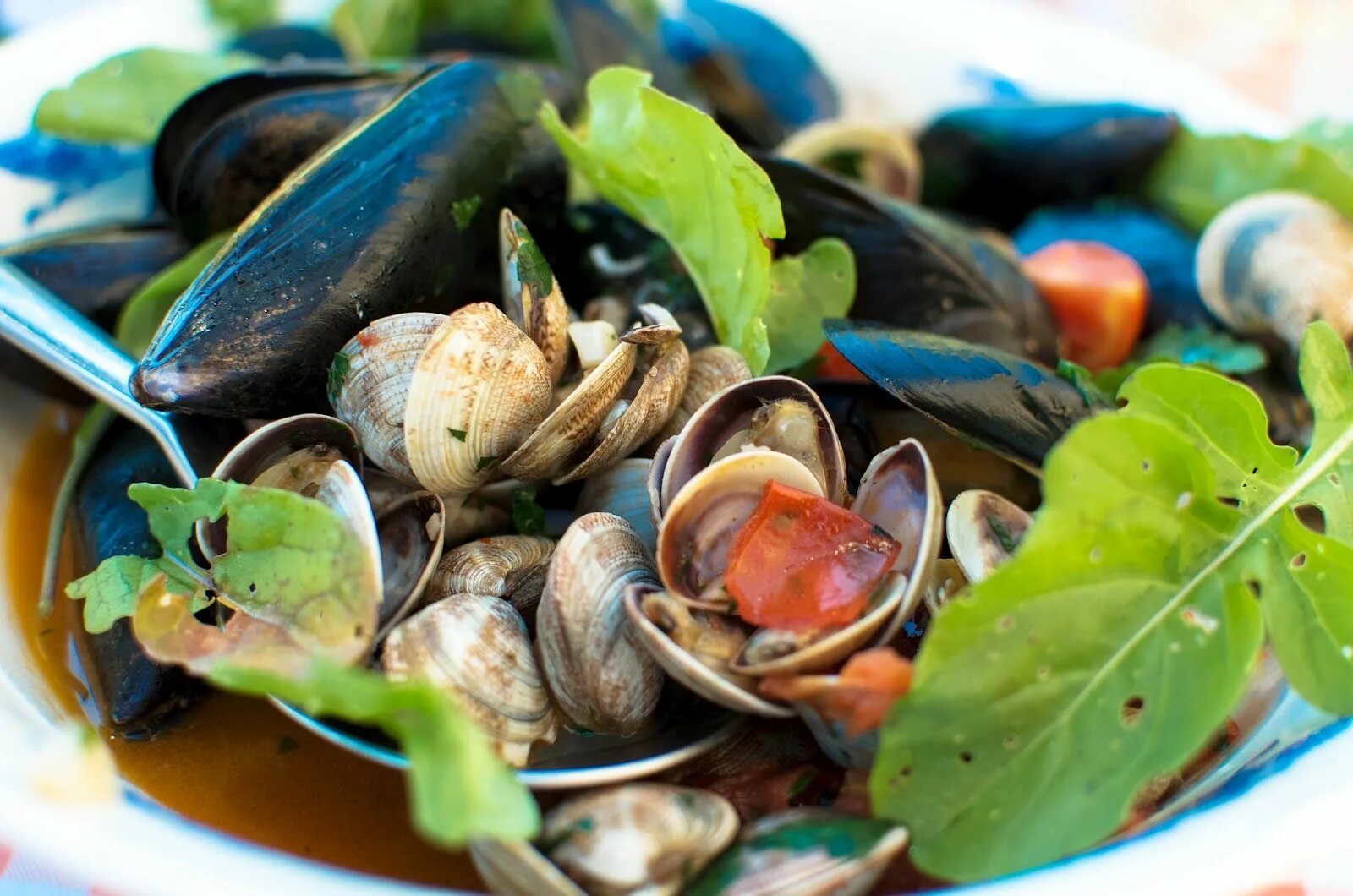 Мидии можно в пост. Cozze e vongole закуски. Моллюски еда. Мидии. Мидии готовые.