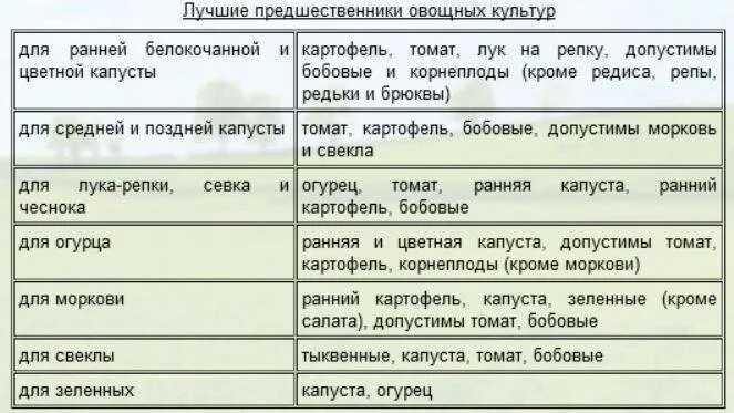 Огурцы после капусты