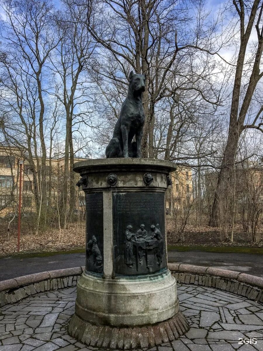Памятник павлову в петербурге. Памятник пирогову военно медицинская академия. Памятник академику павлову. Памятник павлову в москве. Памятник павлова в санкт-петербурге.