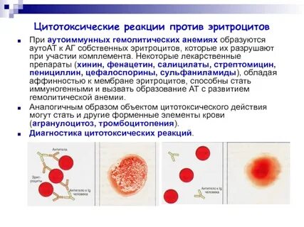 Аутоиммунная аллергическая реакция