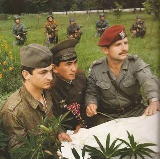 Войска овд