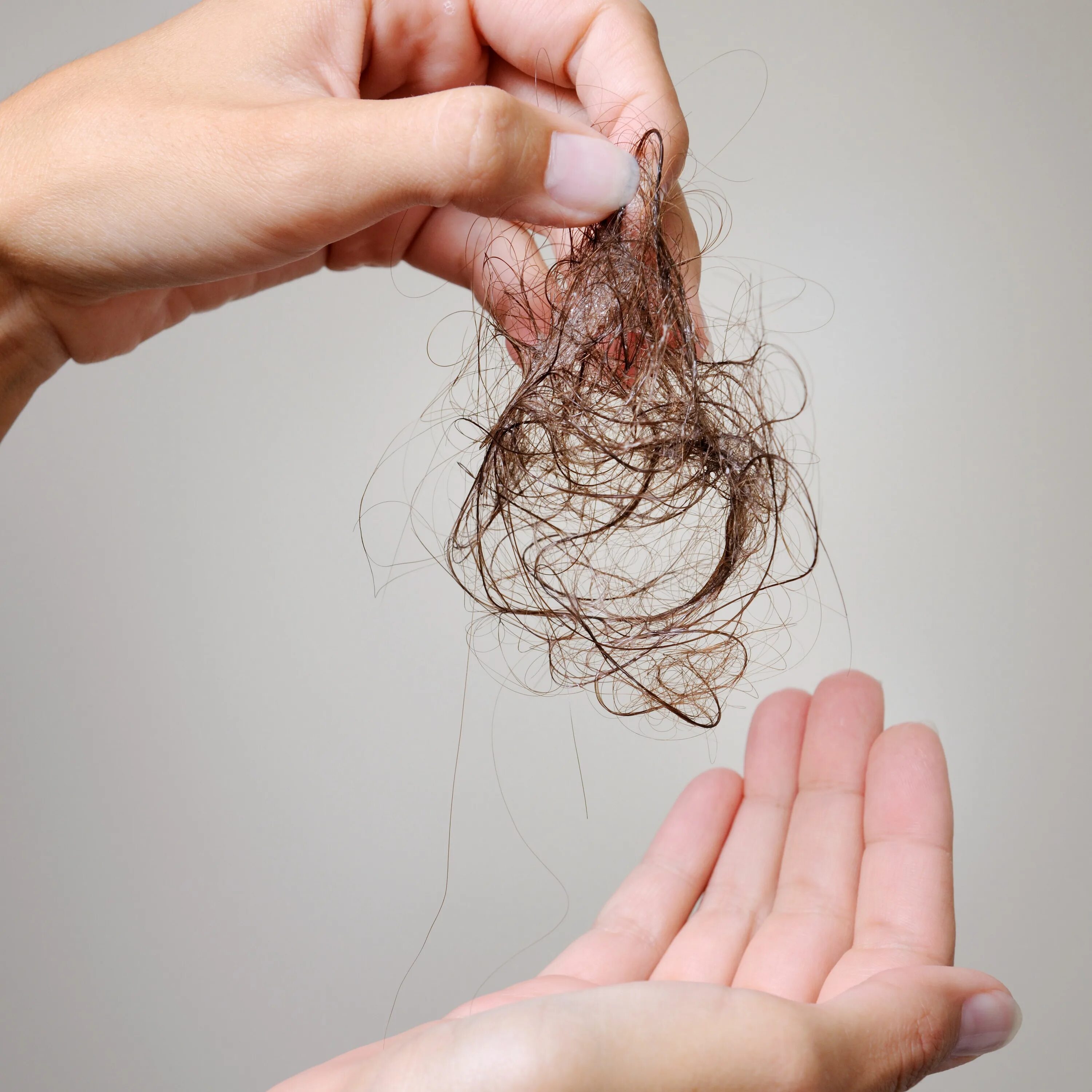 Скупка волос реклама. Куплю волосы дорого. Куплю волосы дорого. Выбери прическу. Выпадение волос.