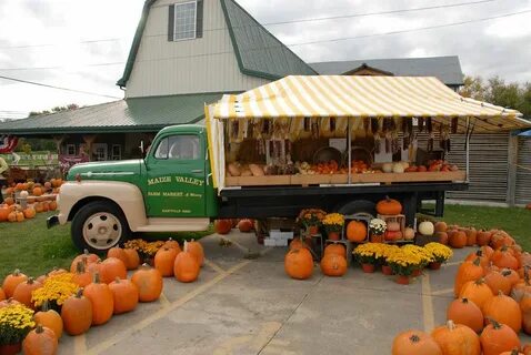 Auto farm fruit