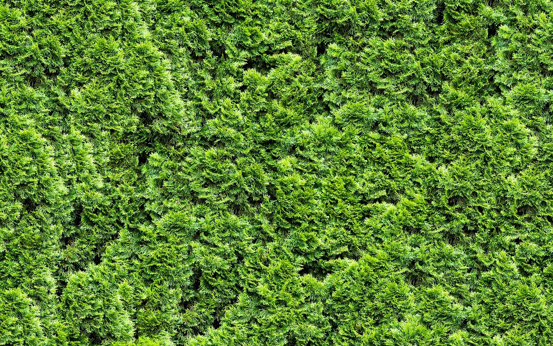 Seamless texture