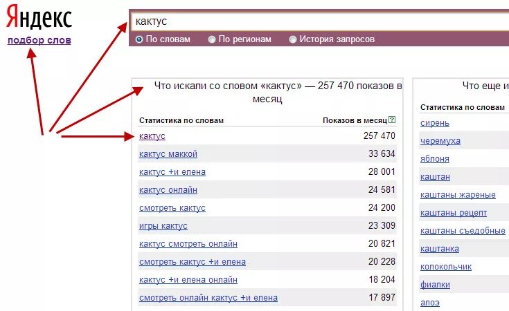 Поиск популярных запросов. Поисковые запросы. Статистика запросов в интернете. Статистика запросов в поисковиках.