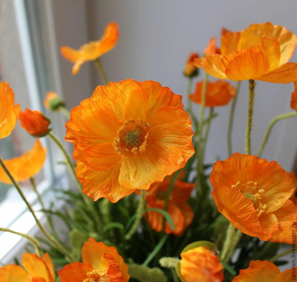 Make it orange
