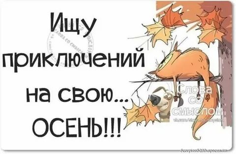 Ноябрь картинки с юмором