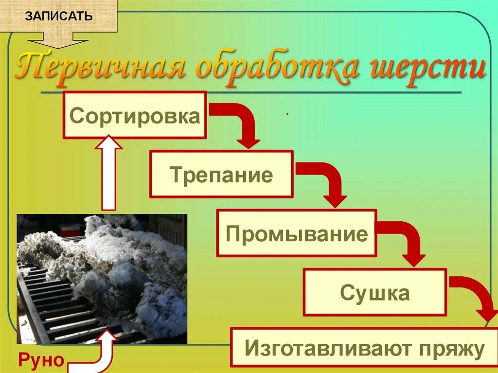 Первичная обработка шерсти. Этапы обработки шерсти. последовательность первичной обработки шерсти. технолог первичной обработки шерсти животных. первичная обработка шерсти этапы схема.