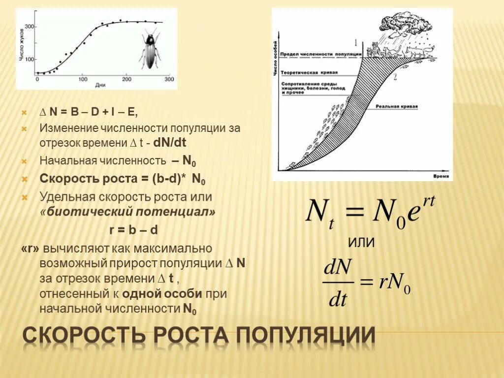 Изменение скорости роста. Скорость роста популяции. Скорость роста численности популяции. Формула роста популяции. Формула роста численности популяции.