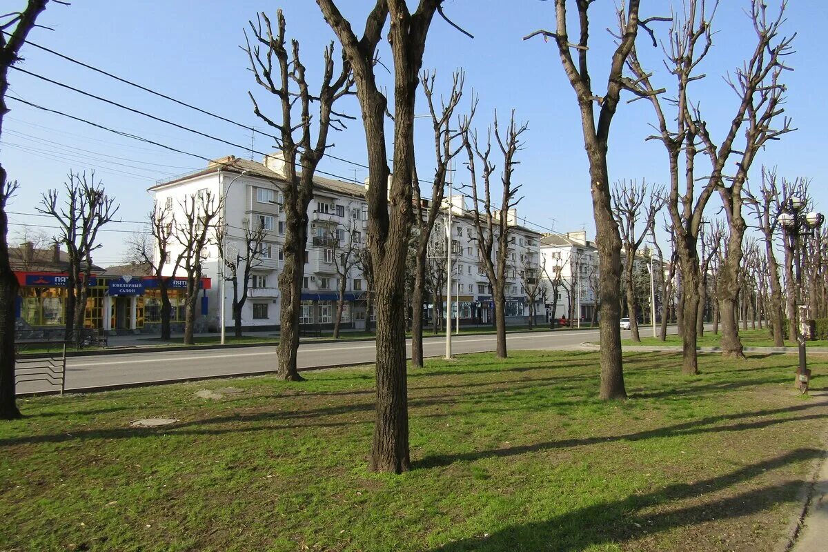 Г нальчик ул ленина. Г нальчик ул ленина. Проспект ленина кбр. Г нальчик ул ленина. Город нальчик проспект ленина.