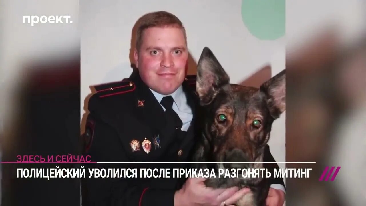 Королева уволили. Полиция королев. королева полиции.